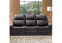  brown sofa   