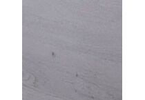gray swatch  